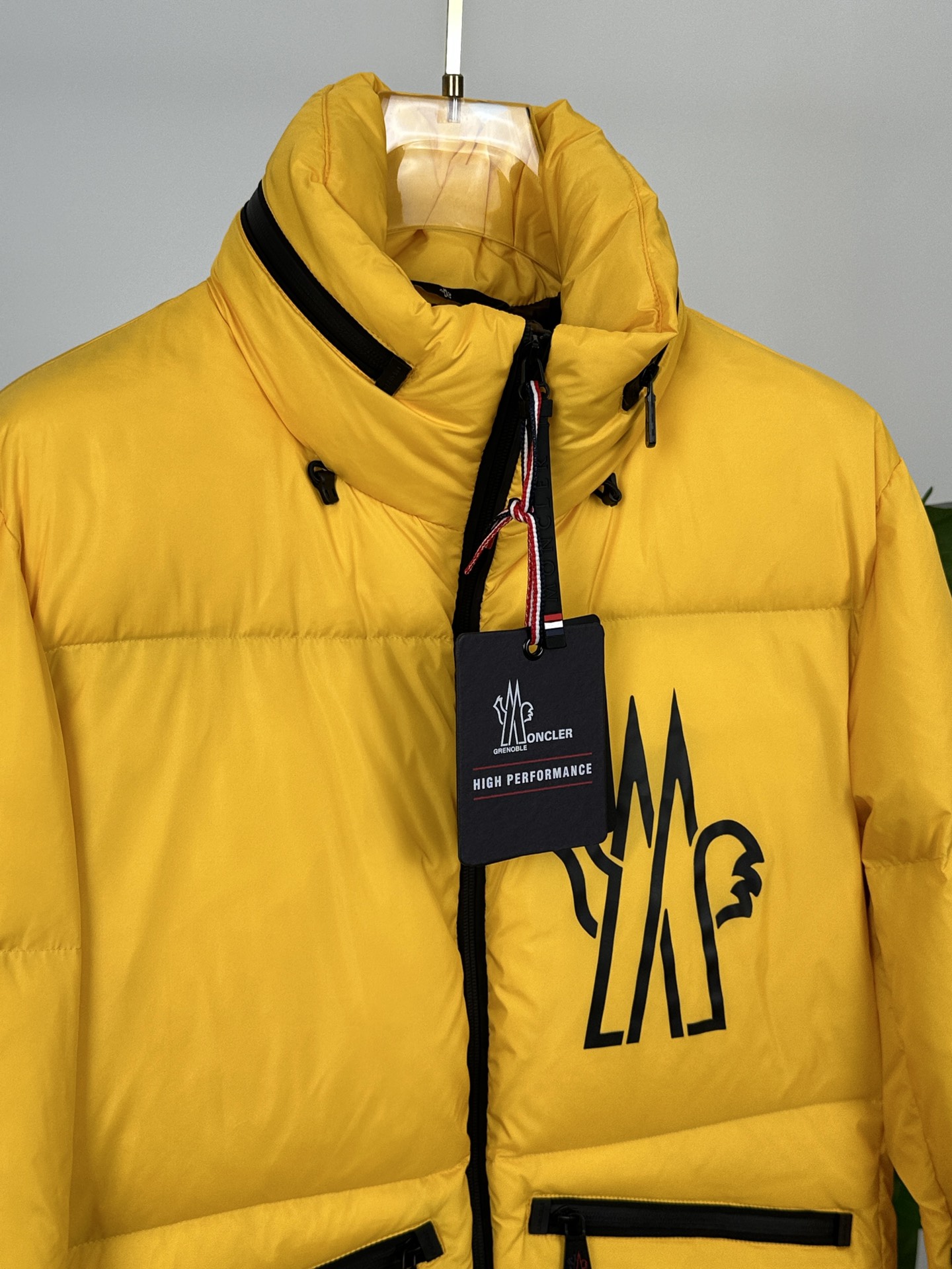 Moncler Down Jackets